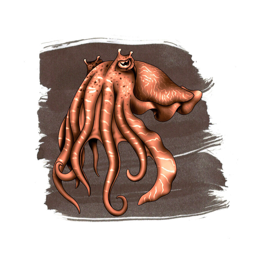 Anderillium inkt - Cephalopod Series - Cuttlefish Brown