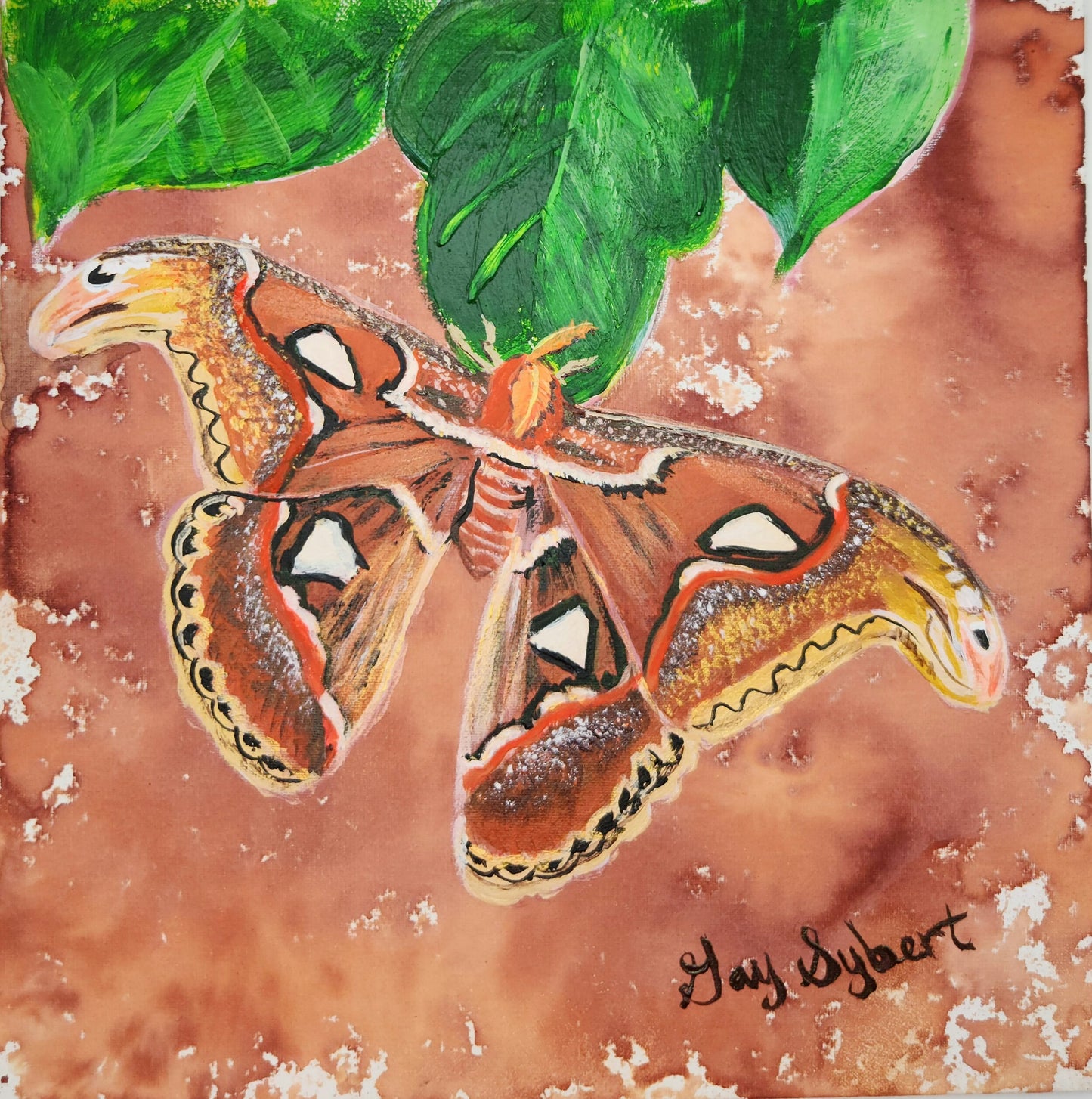 Anderillium inkt - Lepidoptera Series - Atlas Moth Brown